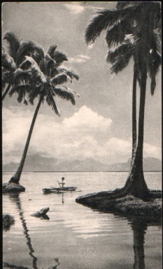 Tongan canoe early postcard